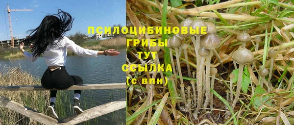 индика Абдулино