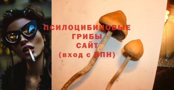 ГАЛЛЮЦИНОГЕННЫЕ ГРИБЫ Пестово